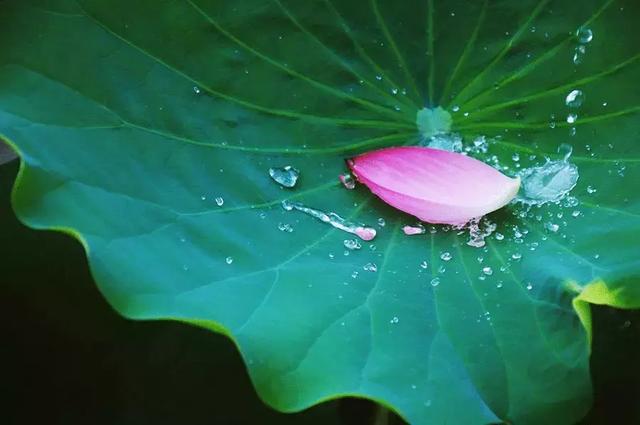 如何选择组合音响，组合音响什么牌子好（夏至，一年中最放肆的季节到了）