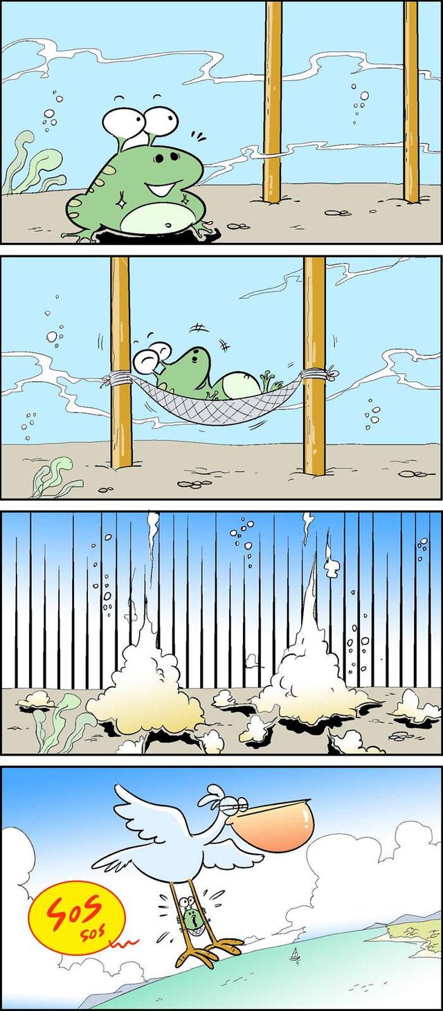 青蛙日常漫画大全，漫画：一只青蛙的午觉