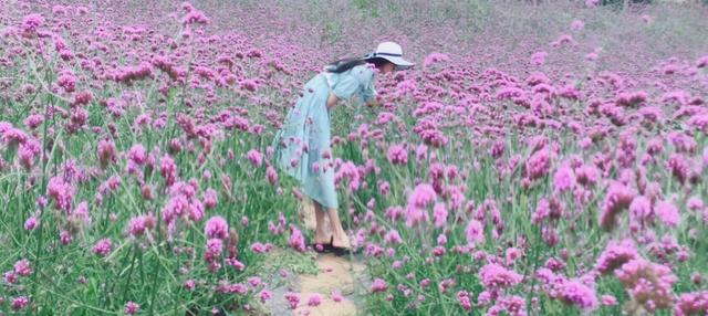 美中不足的意思，美中不足是什么意思（原来美中不足竟然是这个意思）