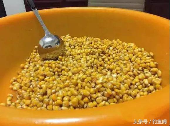 玉米钓鱼用生的还是熟的，钓鱼的玉米是生的还是熟的（鲜玉米和熟玉米哪个钓鱼效果更好）