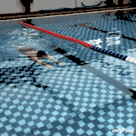 蛙泳初学者的步骤和方法，蛙泳教学五个步骤（3张动图教你蛙泳入门……）