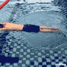 蛙泳初学者的步骤和方法，蛙泳教学五个步骤（3张动图教你蛙泳入门……）