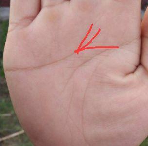 手上凤尾纹手相 凤尾纹手相男士 - 珍缘易学