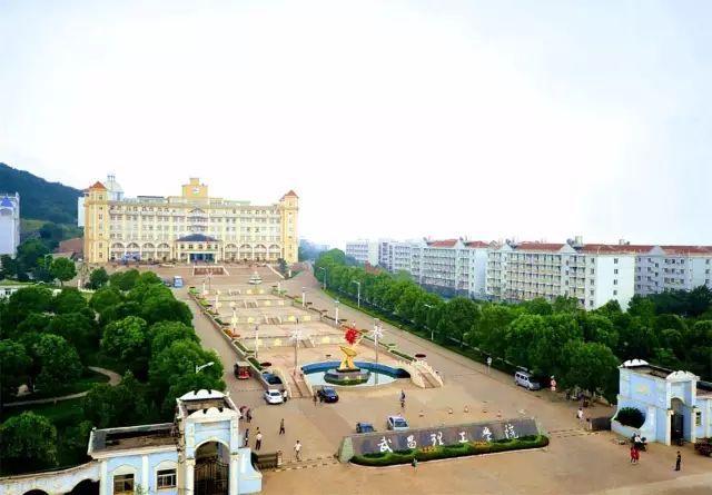 被称为“211高校之王”的武汉理工：为啥叫皇家理工，武汉理工大学三大王牌专业（在一座园林式校园上大学是什么体验）