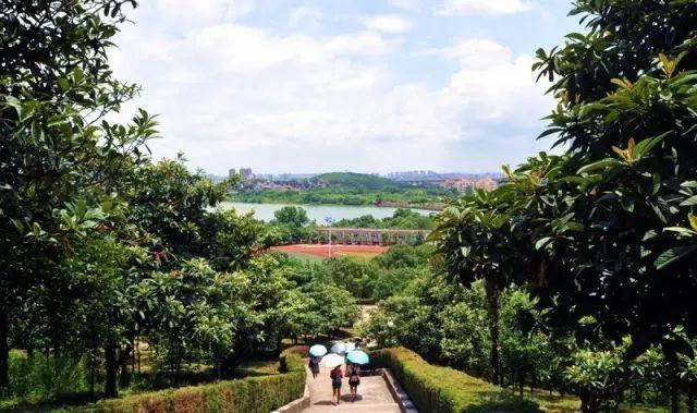 被称为“211高校之王”的武汉理工：为啥叫皇家理工，武汉理工大学三大王牌专业（在一座园林式校园上大学是什么体验）