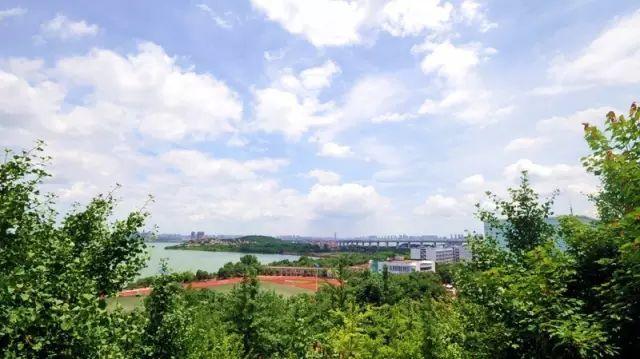 被称为“211高校之王”的武汉理工：为啥叫皇家理工，武汉理工大学三大王牌专业（在一座园林式校园上大学是什么体验）