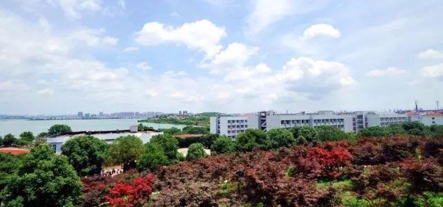 被称为“211高校之王”的武汉理工：为啥叫皇家理工，武汉理工大学三大王牌专业（在一座园林式校园上大学是什么体验）