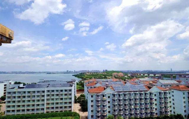 被称为“211高校之王”的武汉理工：为啥叫皇家理工，武汉理工大学三大王牌专业（在一座园林式校园上大学是什么体验）