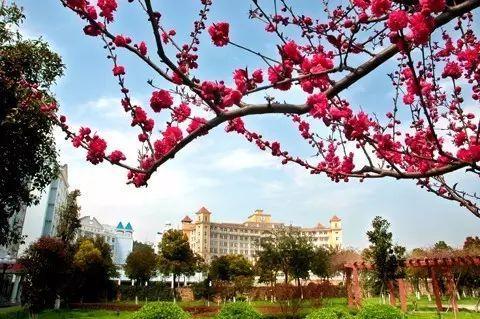 被称为“211高校之王”的武汉理工：为啥叫皇家理工，武汉理工大学三大王牌专业（在一座园林式校园上大学是什么体验）