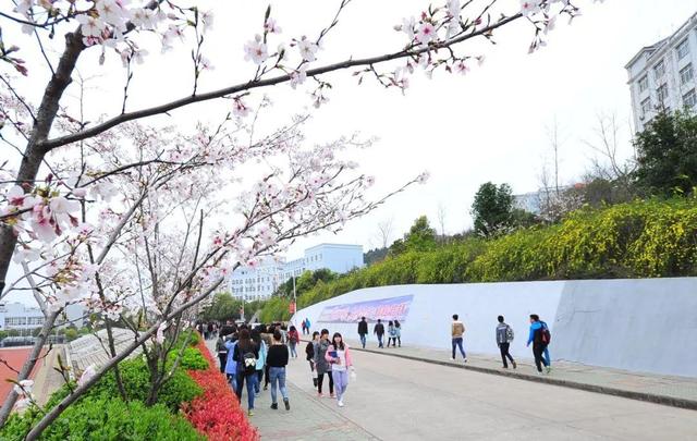 被称为“211高校之王”的武汉理工：为啥叫皇家理工，武汉理工大学三大王牌专业（在一座园林式校园上大学是什么体验）