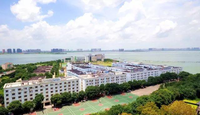 被称为“211高校之王”的武汉理工：为啥叫皇家理工，武汉理工大学三大王牌专业（在一座园林式校园上大学是什么体验）