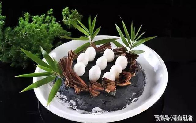 鸽子蛋有营养吗，鸽子蛋有什么营养价值（鸽子蛋的营养价值是否和价格成正比）