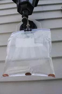 洗衣粉灭蟑螂最有效，小苏打灭蟑螂最有效的方法（竟然有消灭蟑螂的奇效）