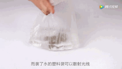 洗衣粉灭蟑螂最有效，小苏打灭蟑螂最有效的方法（竟然有消灭蟑螂的奇效）