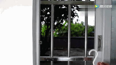 洗衣粉灭蟑螂最有效，小苏打灭蟑螂最有效的方法（竟然有消灭蟑螂的奇效）