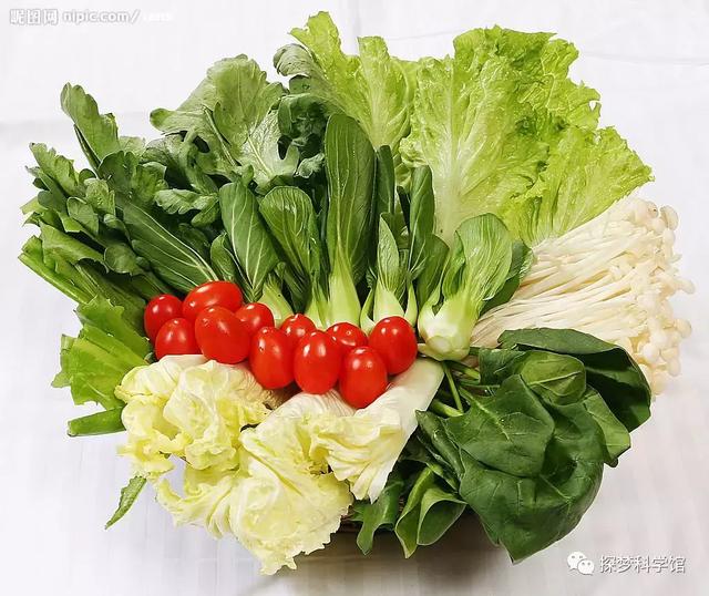 蜗牛的外形特征，蜗牛的外形特征怎么描写（软体动物——蜗牛）