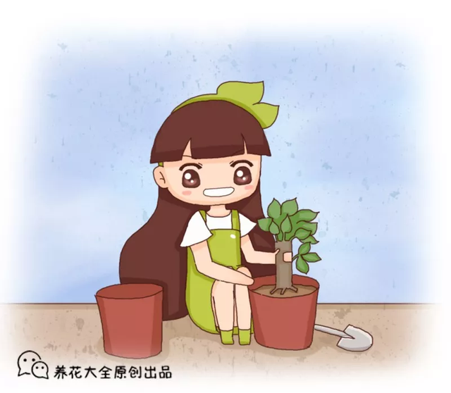 荔枝皮是什么材质，荔枝纹皮是什么皮（吃完的荔枝壳别扔）