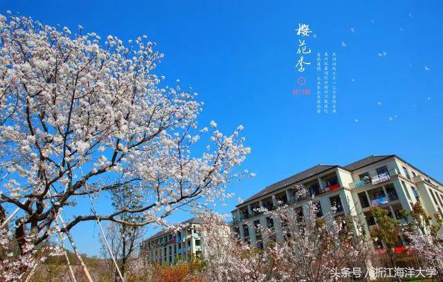 浙江海洋大学本科招生网，浙江海洋大学2022年报考条件（招生15问带你走进海上学府）