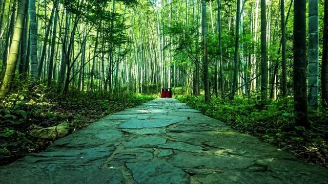 形容女子气质清雅诗句成语，形容女子气质清雅 成语（记录古人风雅生活）