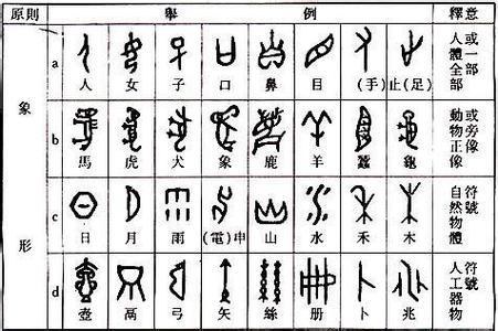 形声字是什么意思，五年级语文形声字是什么意思（春雨老师讲汉语语法：造字法）