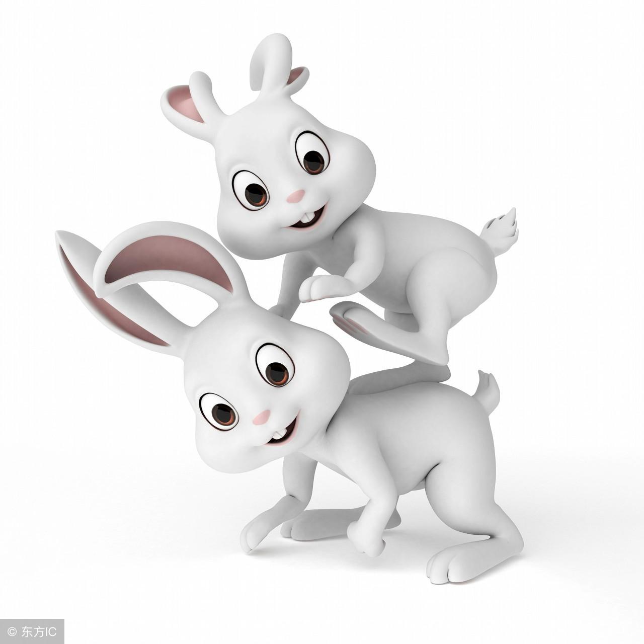 1999属兔23岁后十年大运运程,为什么说今年的「兔」占尽优势-生肖