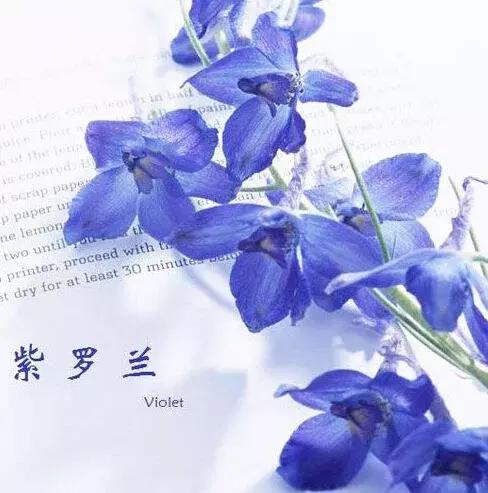 简笔画——铃兰，铃兰 简笔画（花卉名称和简笔画）