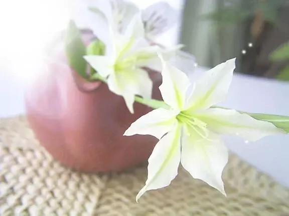简笔画——铃兰，铃兰 简笔画（花卉名称和简笔画）