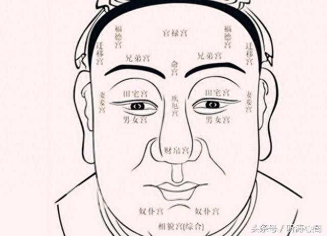 男人面相大全分析（男人有这三种面相特征是什么）