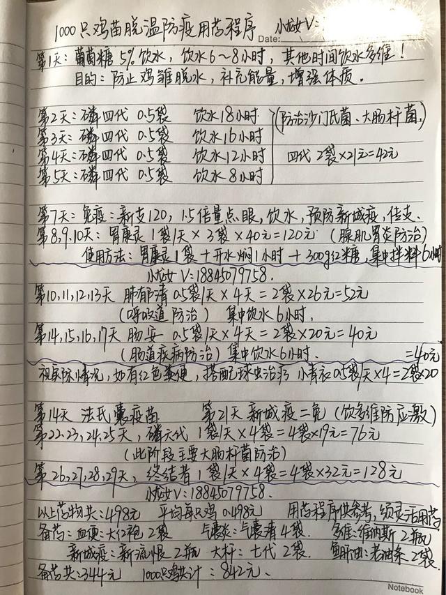 最简单的散养土鸡方法，养鸡秘诀：常见的土鸡散养方式