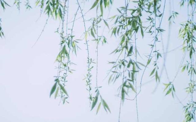 金牛座男生最配星座，金牛座男生和什么星座配对（这三对星座默契十足）