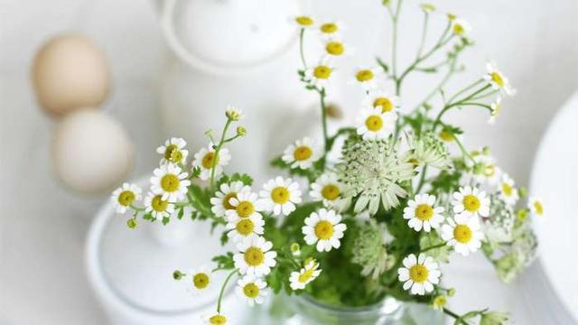 金牛座男生最配星座，金牛座男生和什么星座配对（这三对星座默契十足）