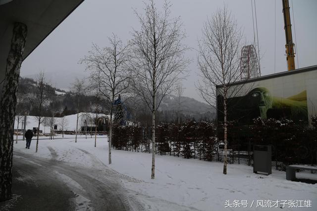 你是否真的了解奥地利水晶，奥地利水晶百度百科（施华洛世奇水晶世界）