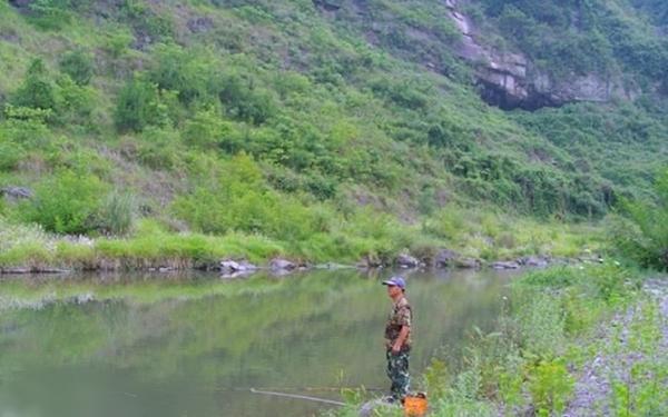 夏季钓鲤鱼总不咬钩？掌握这些技巧让你轻松上鱼，提升中鱼率