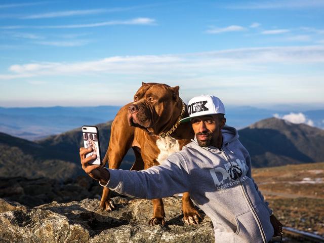 世界最大斗牛犬，世界最大斗牛犬体重超过150斤（世界上最大的斗牛犬体重80公斤）