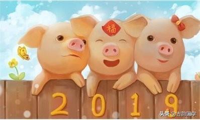 猪年四字祝福成语(猪年四字祝福成语有哪些)