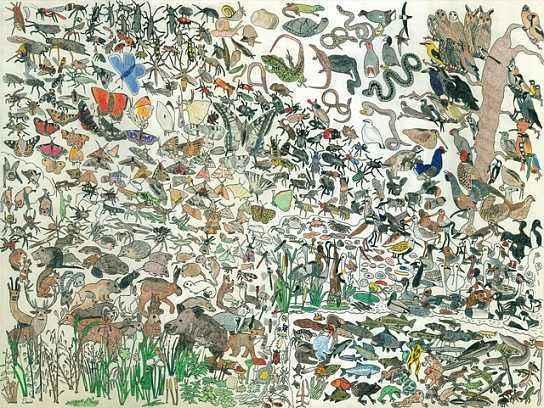 自闭症患者，微信头像，自闭症患者（网友：难怪他不爱说话）