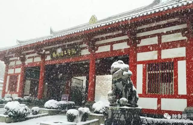 河南省内大学排名，郑州大学2021排名（河南前30所大学排行榜发布）