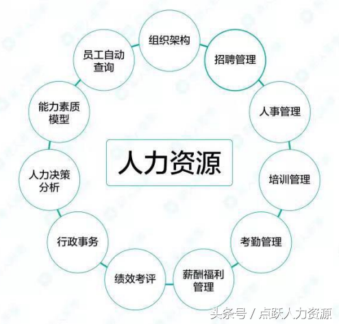 工作流程图示例，人力资源必备工作流程图