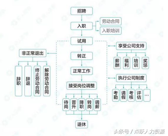 工作流程图示例，人力资源必备工作流程图