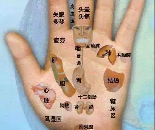 人体有多少个穴位，人有多少个穴位（这15个穴位尤其重要）
