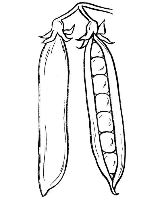 画画简笔画,哄孩子必备技能 - 玉三网