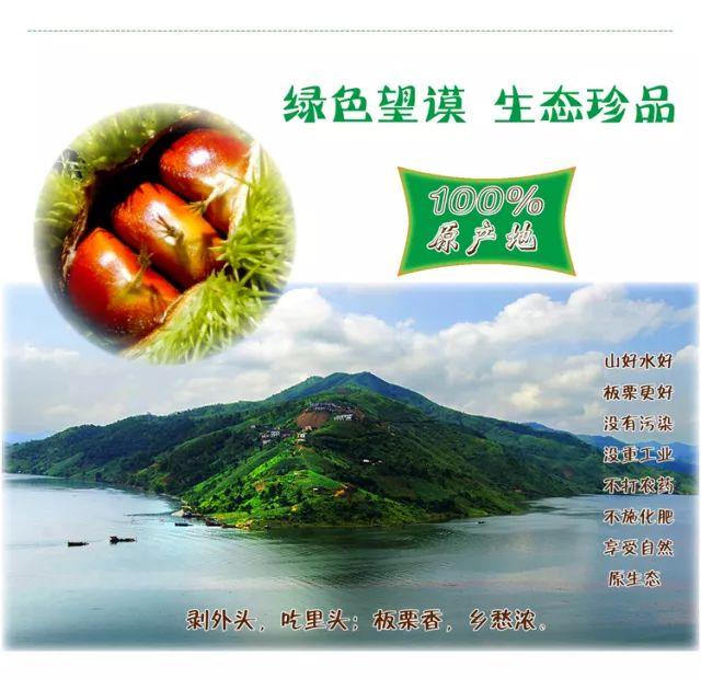 人参果产地，为什么医生不建议吃人参果（“不加糖就很甜”—来自贵州深山里的瑰宝）