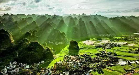 人参果产地，为什么医生不建议吃人参果（“不加糖就很甜”—来自贵州深山里的瑰宝）