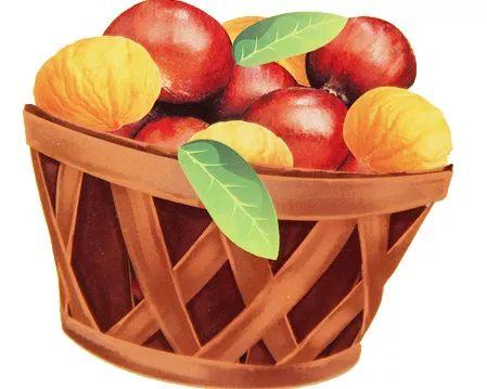 人参果产地，为什么医生不建议吃人参果（“不加糖就很甜”—来自贵州深山里的瑰宝）