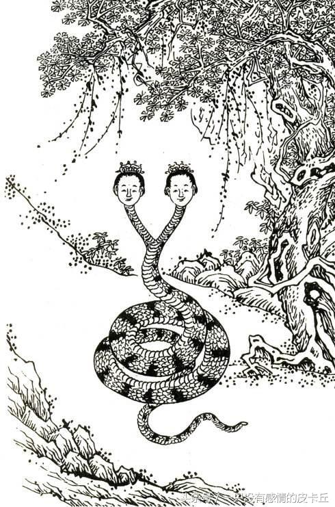 遇到死蛇有什么预兆，梦见死蛇是什么预兆（更别滥捕滥食野生动物）