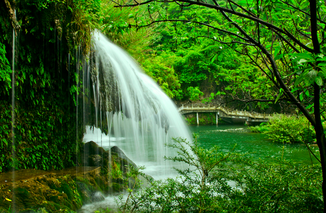 绿色主题的风景图,绿色主题的图片(绿韵美景 太美了)