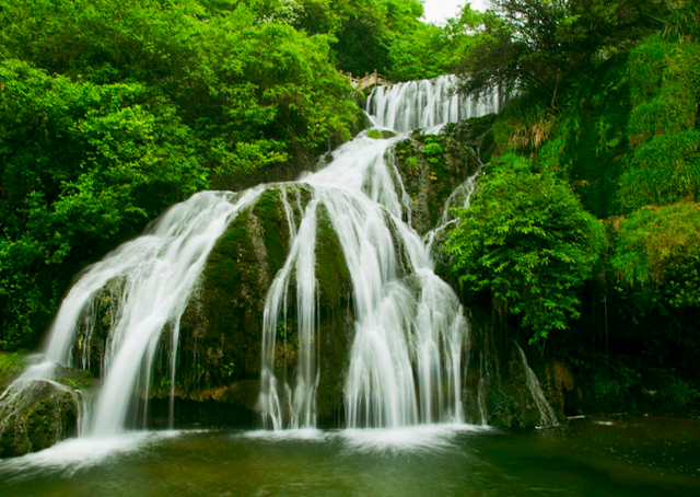 綠色主題的風景圖,綠色主題的圖片(綠韻美景 太美了)