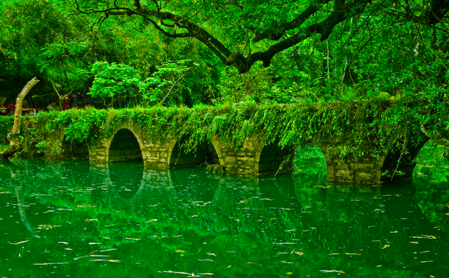 绿色主题的风景图,绿色主题的图片(绿韵美景 太美了)