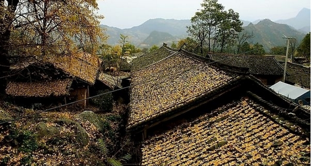 风水学入门知识住宅风水，住宅风水学入门知识（这些入门级的风水知识你知晓多少）