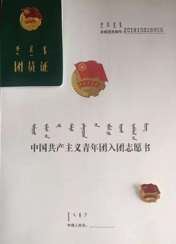 2017年以前13岁入团算违规吗，大学查未满13岁入团（关于发展团员的这些事情你知道吗）